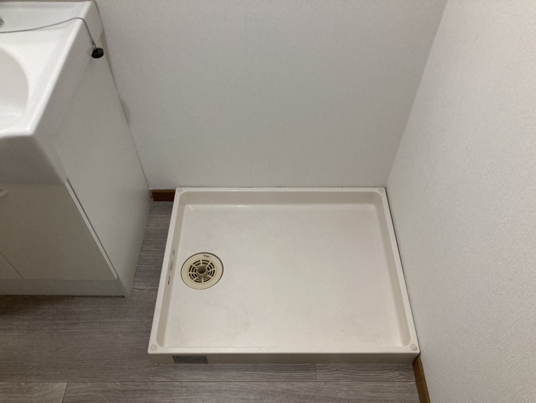 セリーヌ坪井