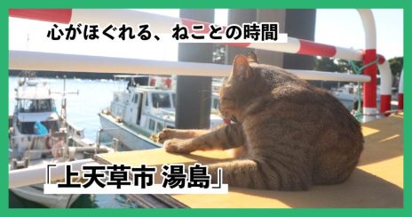 記事4